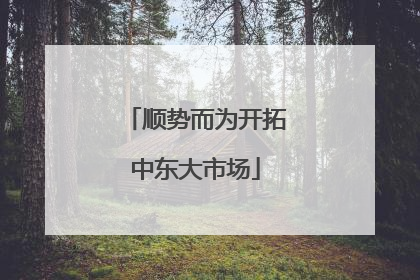 顺势而为开拓中东大市场