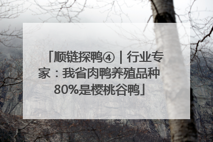 顺链探鸭④｜行业专家：我省肉鸭养殖品种80%是樱桃谷鸭