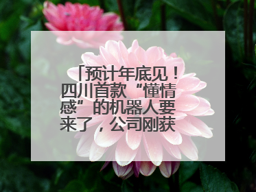 预计年底见！四川首款“懂情感”的机器人要来了，公司刚获数千万元融资