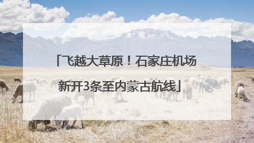 飞越大草原！石家庄机场新开3条至内蒙古航线