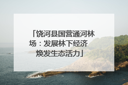 饶河县国营通河林场：发展林下经济 焕发生态活力