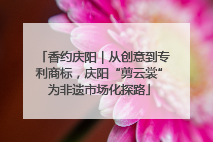 香约庆阳｜从创意到专利商标，庆阳“剪云裳”为非遗市场化探路