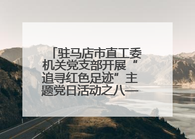 驻马店市直工委机关党支部开展“追寻红色足迹”主题党日活动之八——鏖战独树镇