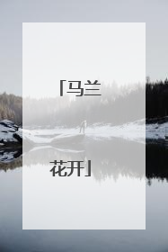 马兰花开