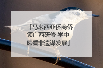 马来西亚侨商侨领广西研修 学中医看非遗谋发展