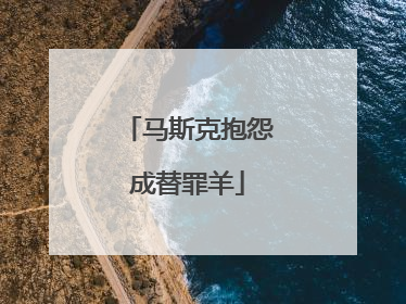 马斯克抱怨成替罪羊