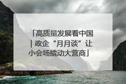 高质量发展看中国｜政企“月月谈”让小会场撬动大营商