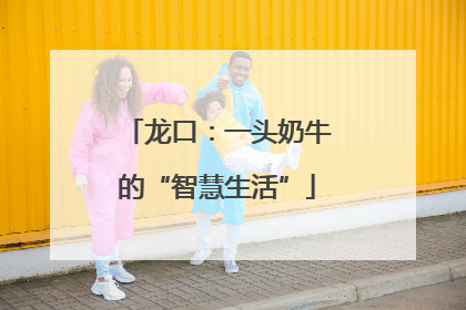 龙口：一头奶牛的“智慧生活”