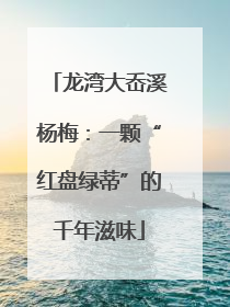 龙湾大岙溪杨梅：一颗“红盘绿蒂”的千年滋味