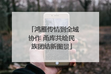 鸿雁传情到全域协作 甬库共绘民族团结新图景