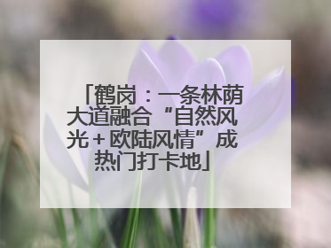鹤岗：一条林荫大道融合“自然风光＋欧陆风情”成热门打卡地