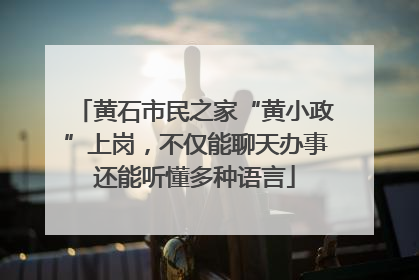 黄石市民之家“黄小政”上岗，不仅能聊天办事还能听懂多种语言