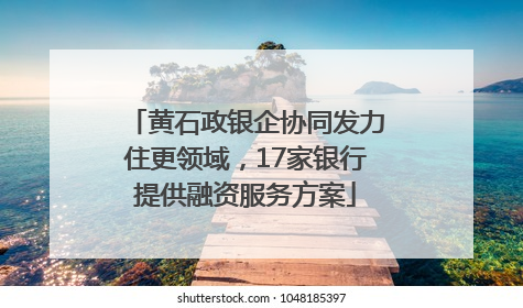 黄石政银企协同发力住更领域，17家银行提供融资服务方案