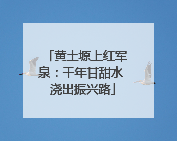 黄土塬上红军泉：千年甘甜水 浇出振兴路
