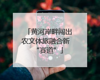 黄河岸畔闯出农文体旅融合新“赛道”