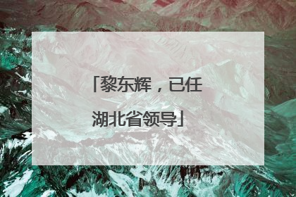 黎东辉，已任湖北省领导