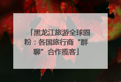 黑龙江旅游全球圈粉：各国旅行商“群聊”合作揽客