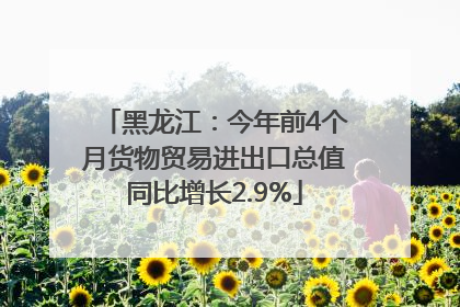 黑龙江：今年前4个月货物贸易进出口总值同比增长2.9%