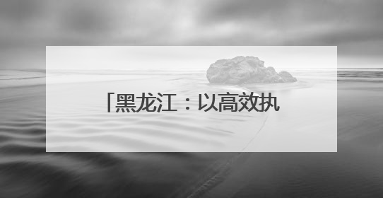 黑龙江：以高效执行守护“粮袋子”
