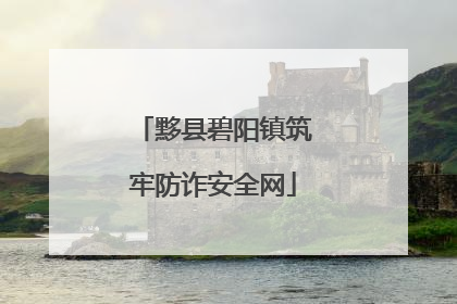 黟县碧阳镇筑牢防诈安全网