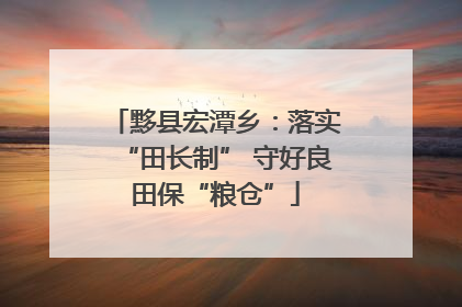 黟县宏潭乡：落实“田长制” 守好良田保“粮仓”