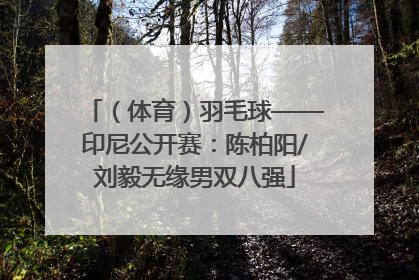 （体育）羽毛球——印尼公开赛：陈柏阳/刘毅无缘男双八强