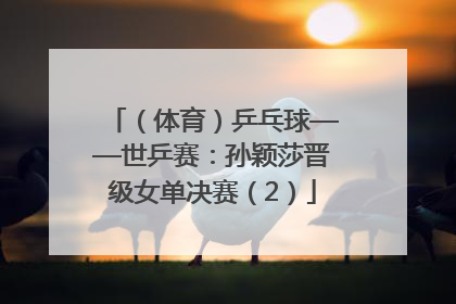（体育）乒乓球——世乒赛：孙颖莎晋级女单决赛（2）