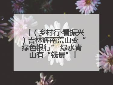 （乡村行·看振兴）吉林辉南荒山变“绿色银行” 绿水青山有“钱景”