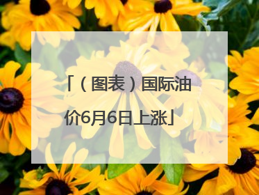（图表）国际油价6月6日上涨