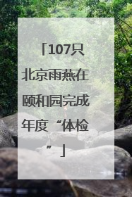 107只北京雨燕在颐和园完成年度“体检”