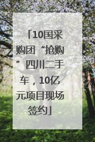 10国采购团“抢购”四川二手车，10亿元项目现场签约