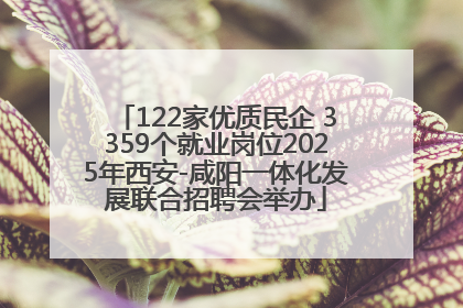 122家优质民企 3359个就业岗位2025年西安-咸阳一体化发展联合招聘会举办