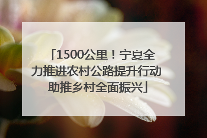1500公里！宁夏全力推进农村公路提升行动 助推乡村全面振兴