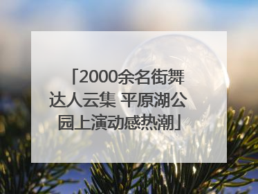 2000余名街舞达人云集 平原湖公园上演动感热潮