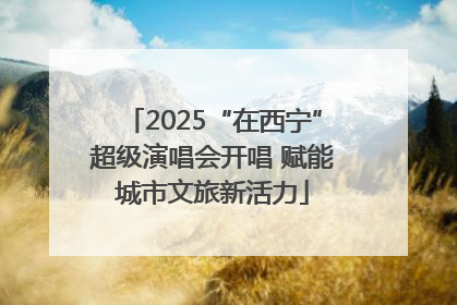 2025“在西宁”超级演唱会开唱 赋能城市文旅新活力