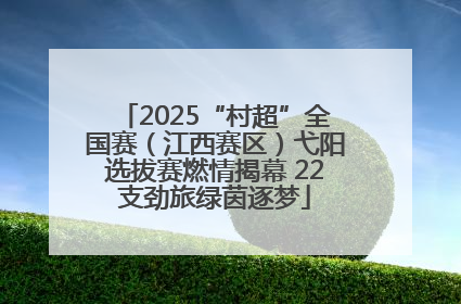 2025“村超”全国赛（江西赛区）弋阳选拔赛燃情揭幕 22支劲旅绿茵逐梦