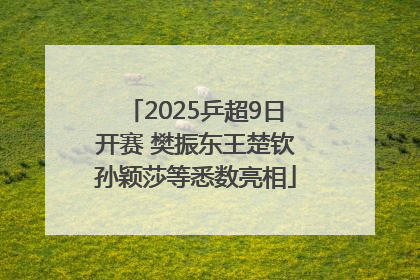 2025乒超9日开赛 樊振东王楚钦孙颖莎等悉数亮相