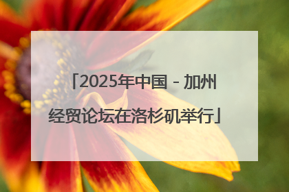 2025年中国－加州经贸论坛在洛杉矶举行
