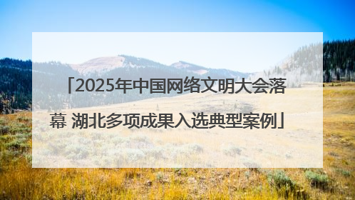 2025年中国网络文明大会落幕 湖北多项成果入选典型案例