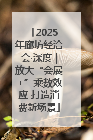 2025年廊坊经洽会·深度｜放大“会展+”乘数效应 打造消费新场景