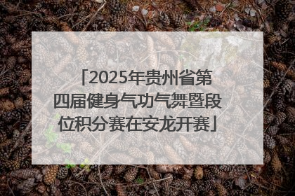 2025年贵州省第四届健身气功气舞暨段位积分赛在安龙开赛
