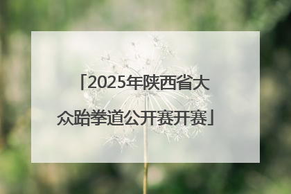 2025年陕西省大众跆拳道公开赛开赛