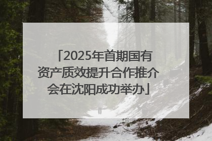 2025年首期国有资产质效提升合作推介会在沈阳成功举办