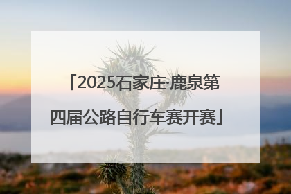 2025石家庄·鹿泉第四届公路自行车赛开赛