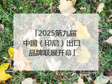 2025第九届中国（印尼）出口品牌联展开幕
