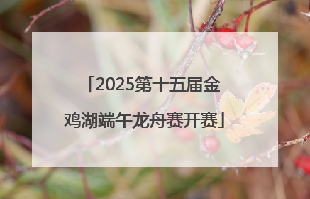 2025第十五届金鸡湖端午龙舟赛开赛