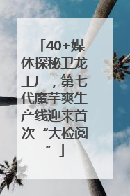 40+媒体探秘卫龙工厂，第七代魔芋爽生产线迎来首次“大检阅”