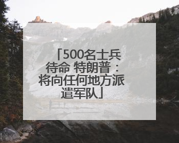 500名士兵待命 特朗普：将向任何地方派遣军队