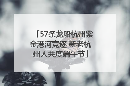 57条龙船杭州紫金港河竞逐 新老杭州人共度端午节