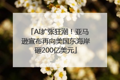 AI扩张狂潮！亚马逊宣布再向美国东海岸砸200亿美元